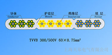 ���늚�TVVB�����о���������|